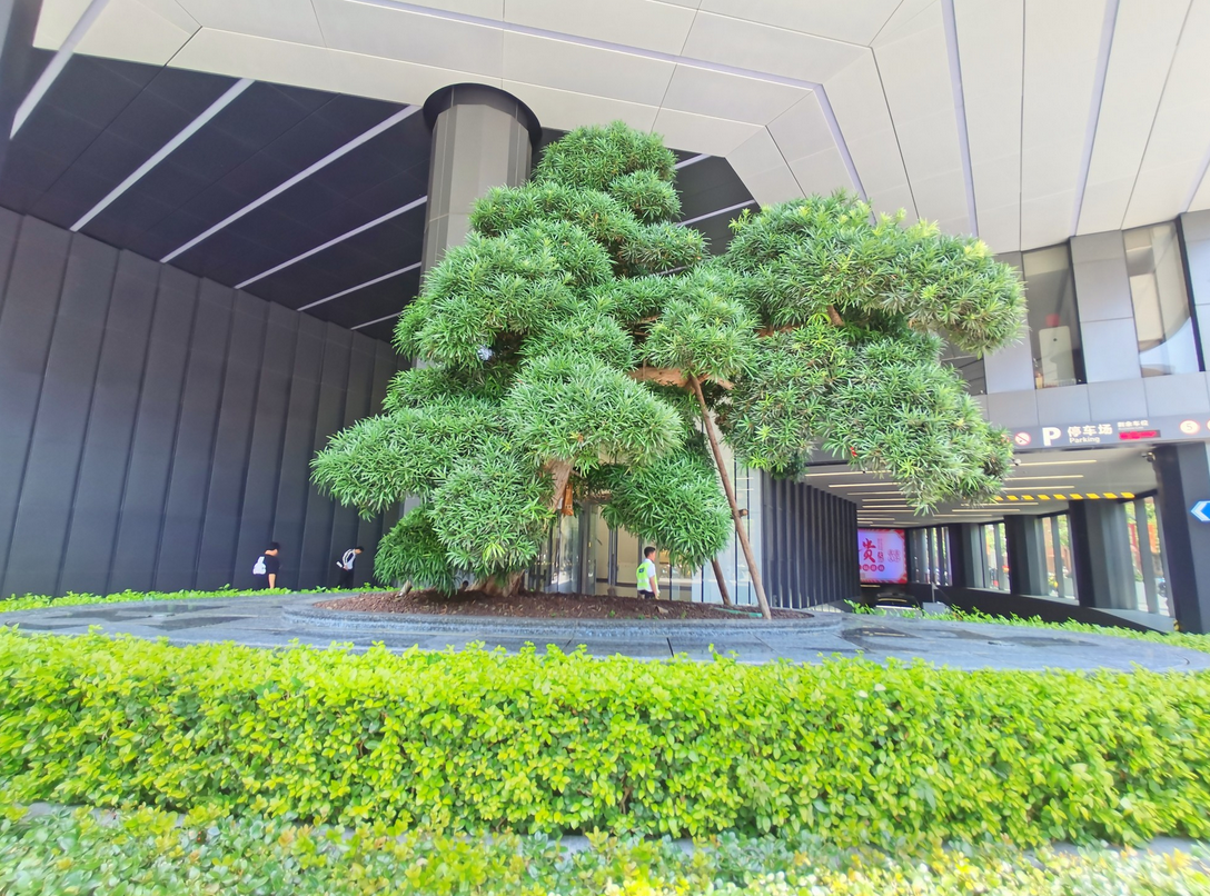 虹口寶華商業(yè)廣場