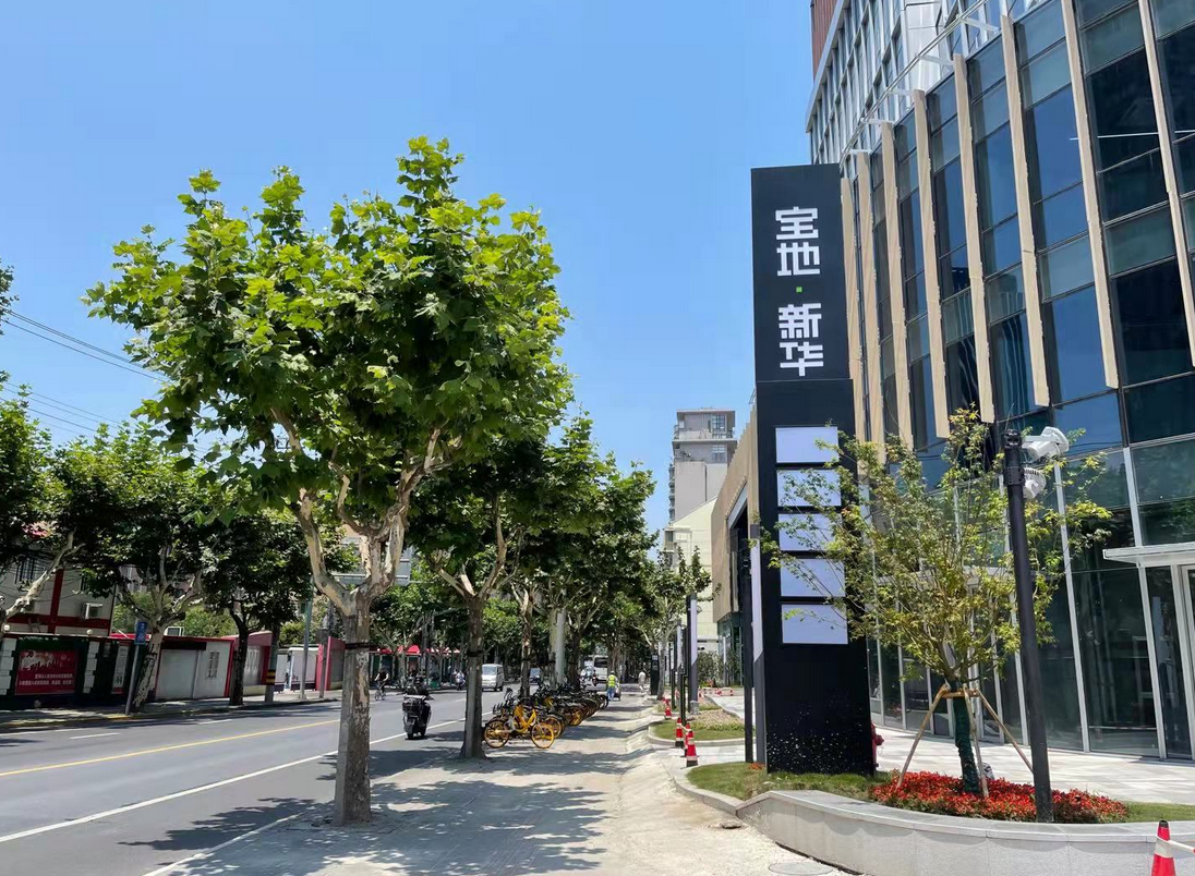 寶地新華大廈